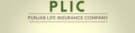 Apply online for Punjab Life Insurance Company Jobs 2026